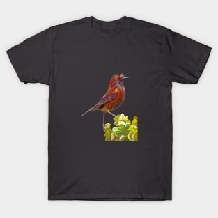 ‘Ākohekohe, Hawaiian Bird T-Shirt